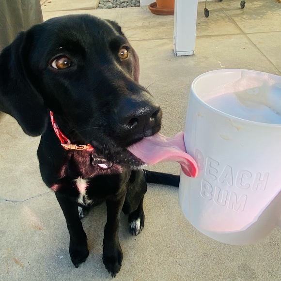 Meet your Posher - Picture 4 of 7